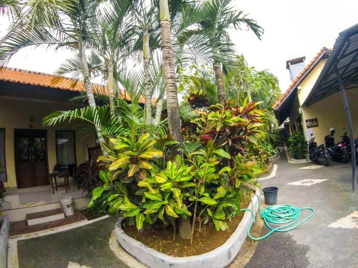 Guest house Putu Canggu (Bali)