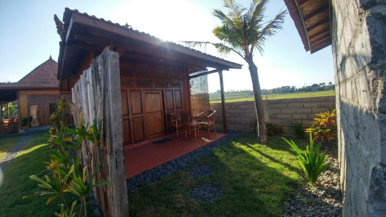Bali Tiger Hideaway