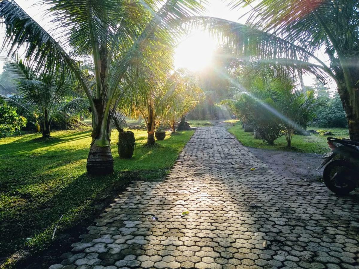 Dhiari Guest house *