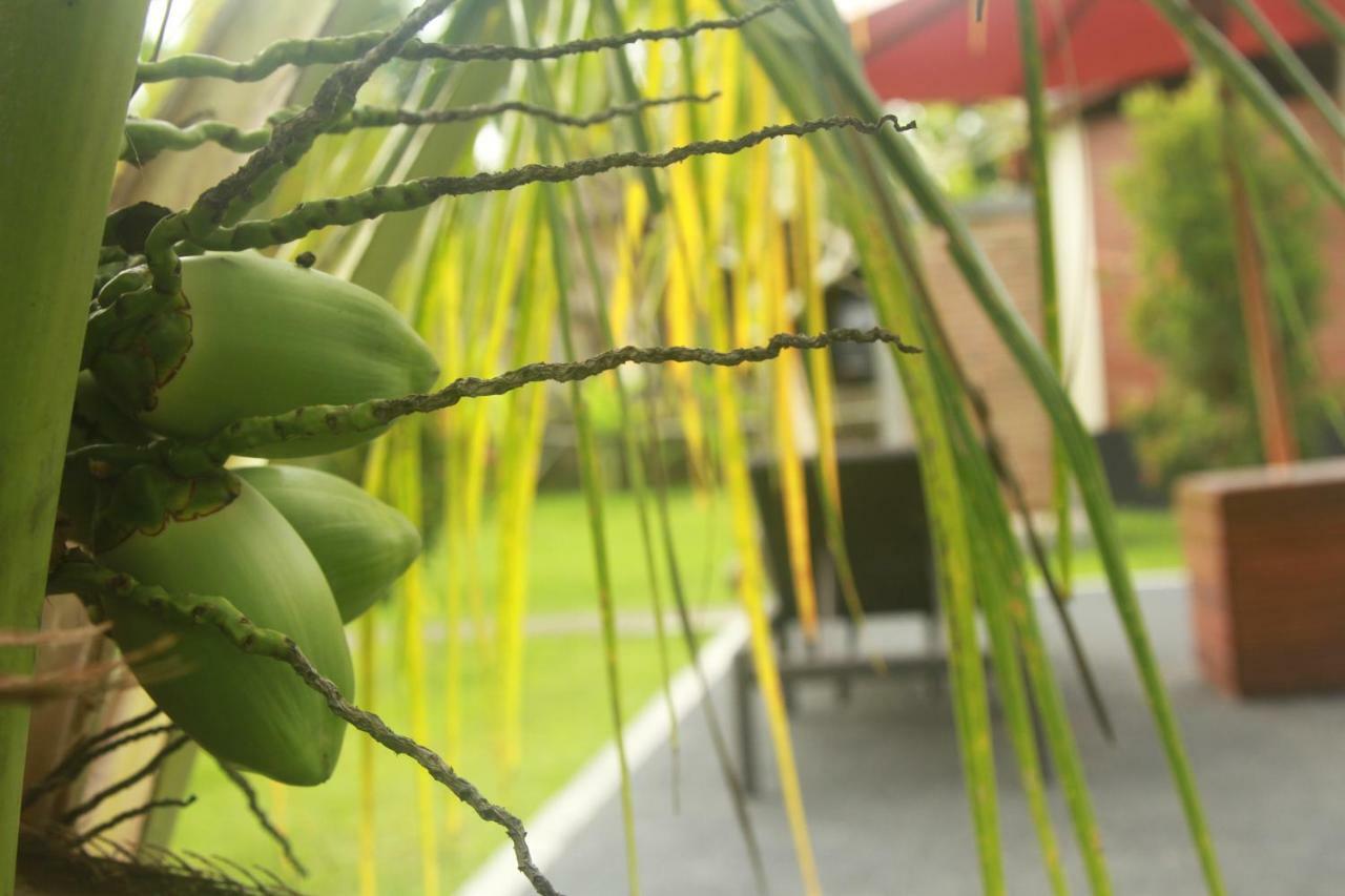 Dhiari Ubud (Bali)