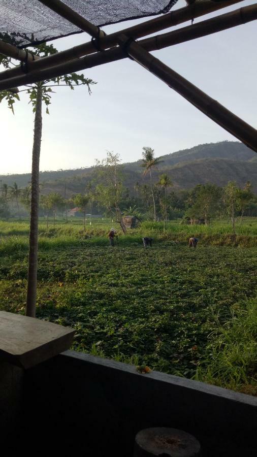 Stop Homestay, Rooftop Restaurant And Bar Wisma tamu Amed (Bali)