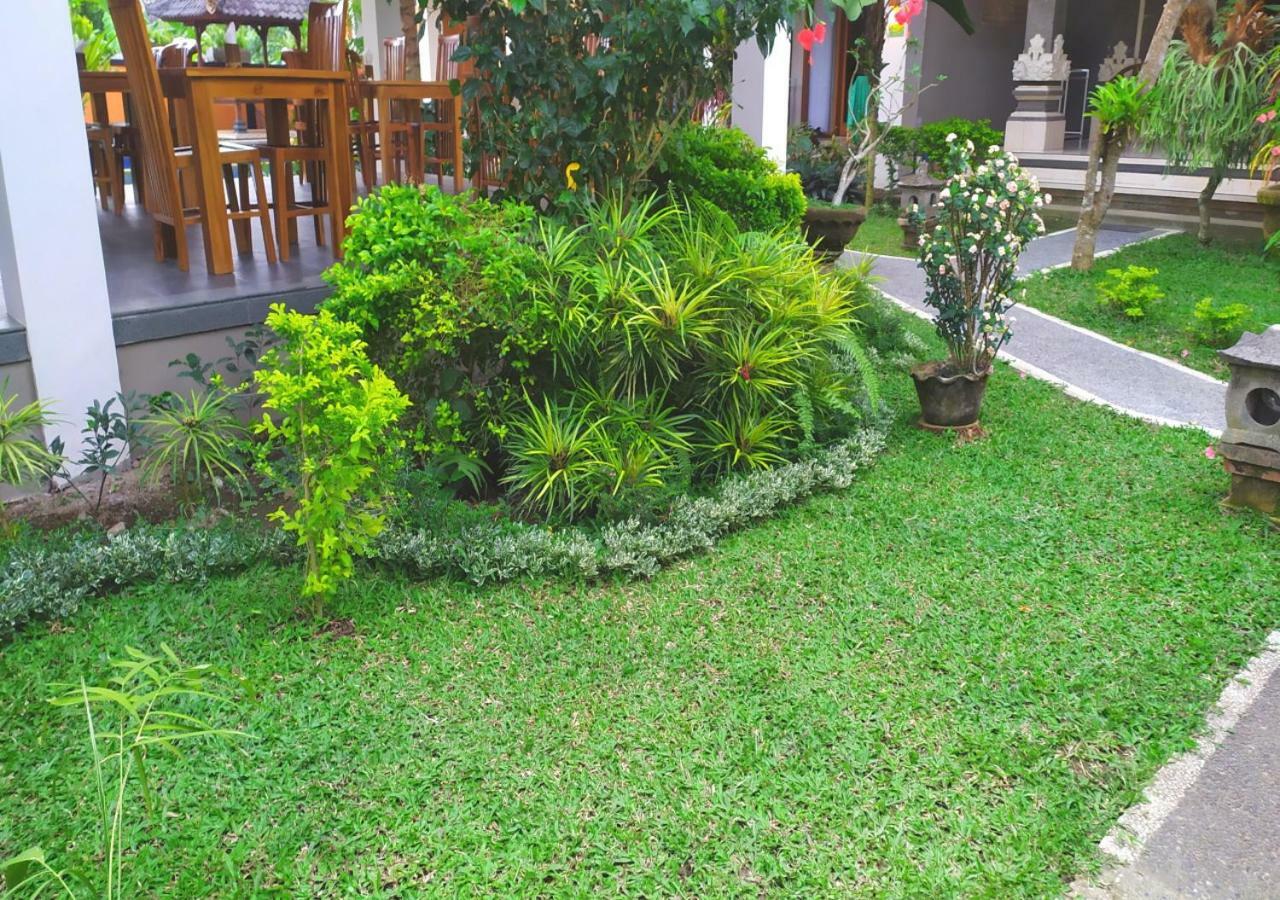Swan Guest house