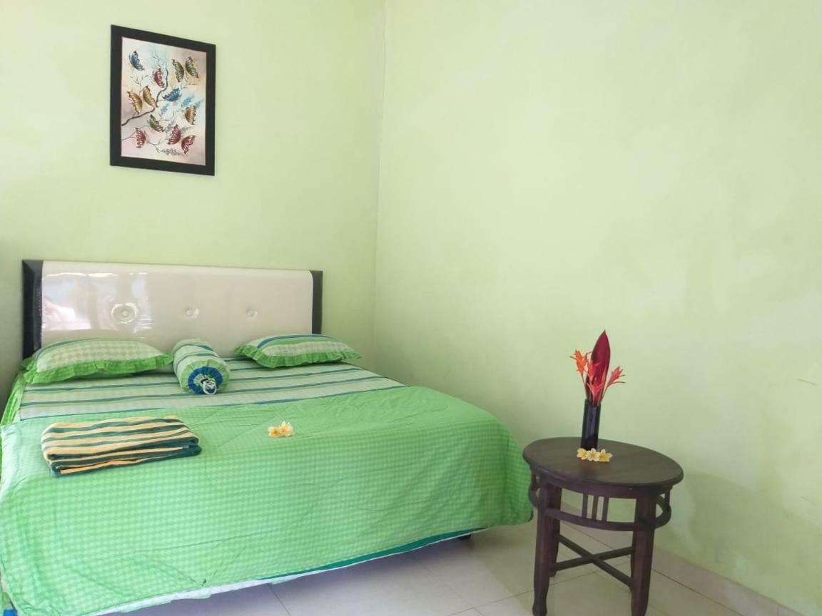 Memes House Backpacker Buleleng (Bali)