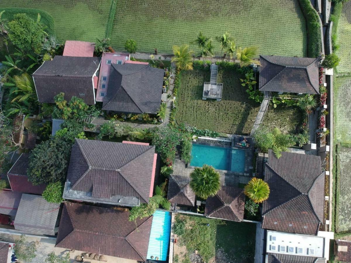 Uma Caming & Gym Guest house Tegallalang (Bali)
