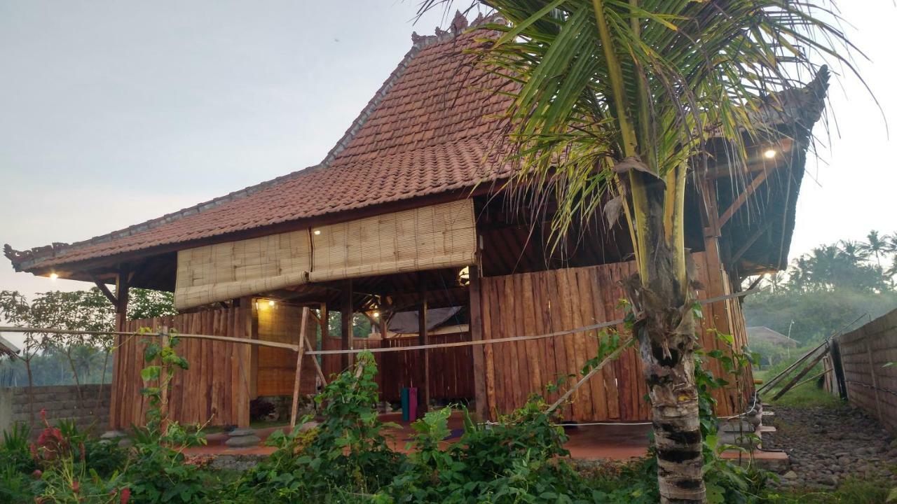 Bali Tiger Hideaway Pulukan