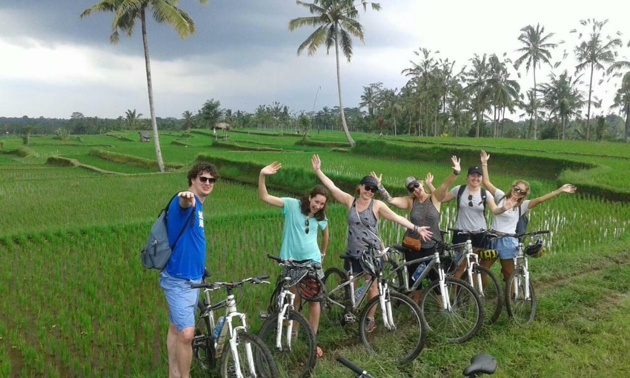 Kaira Estate * Canggu (Bali)