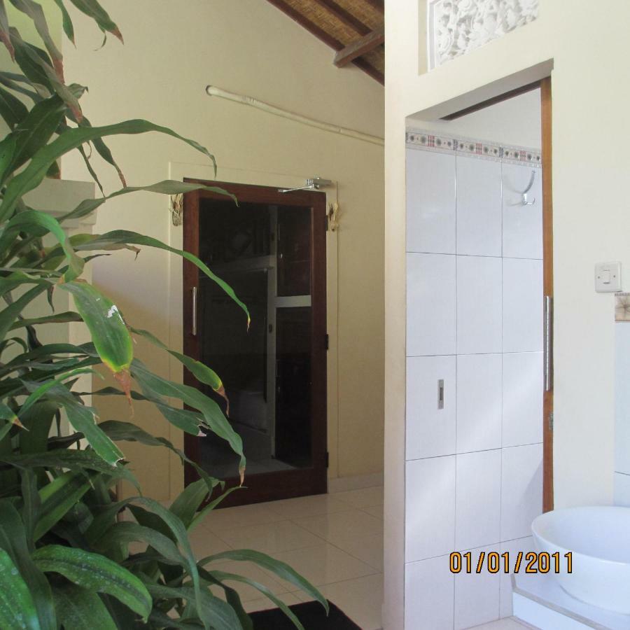 Aldi Hostel Amed (Bali)