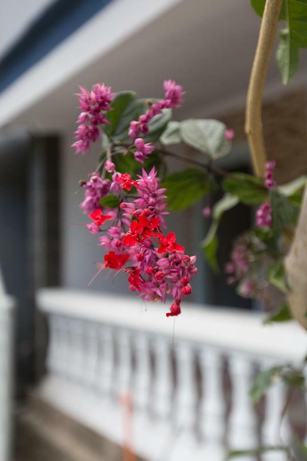 Guest house Bali Aman Darling House