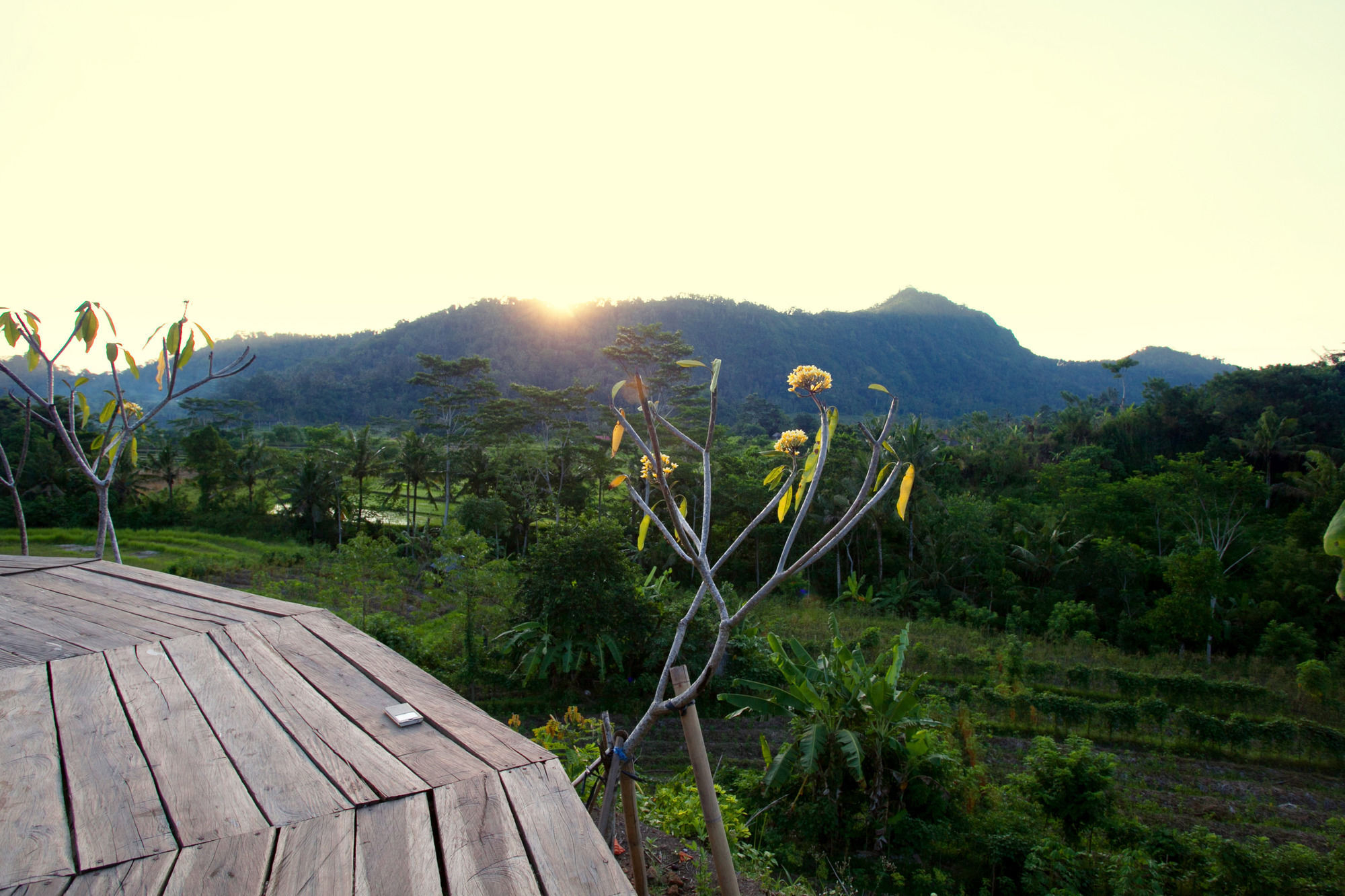 Villa Barong *