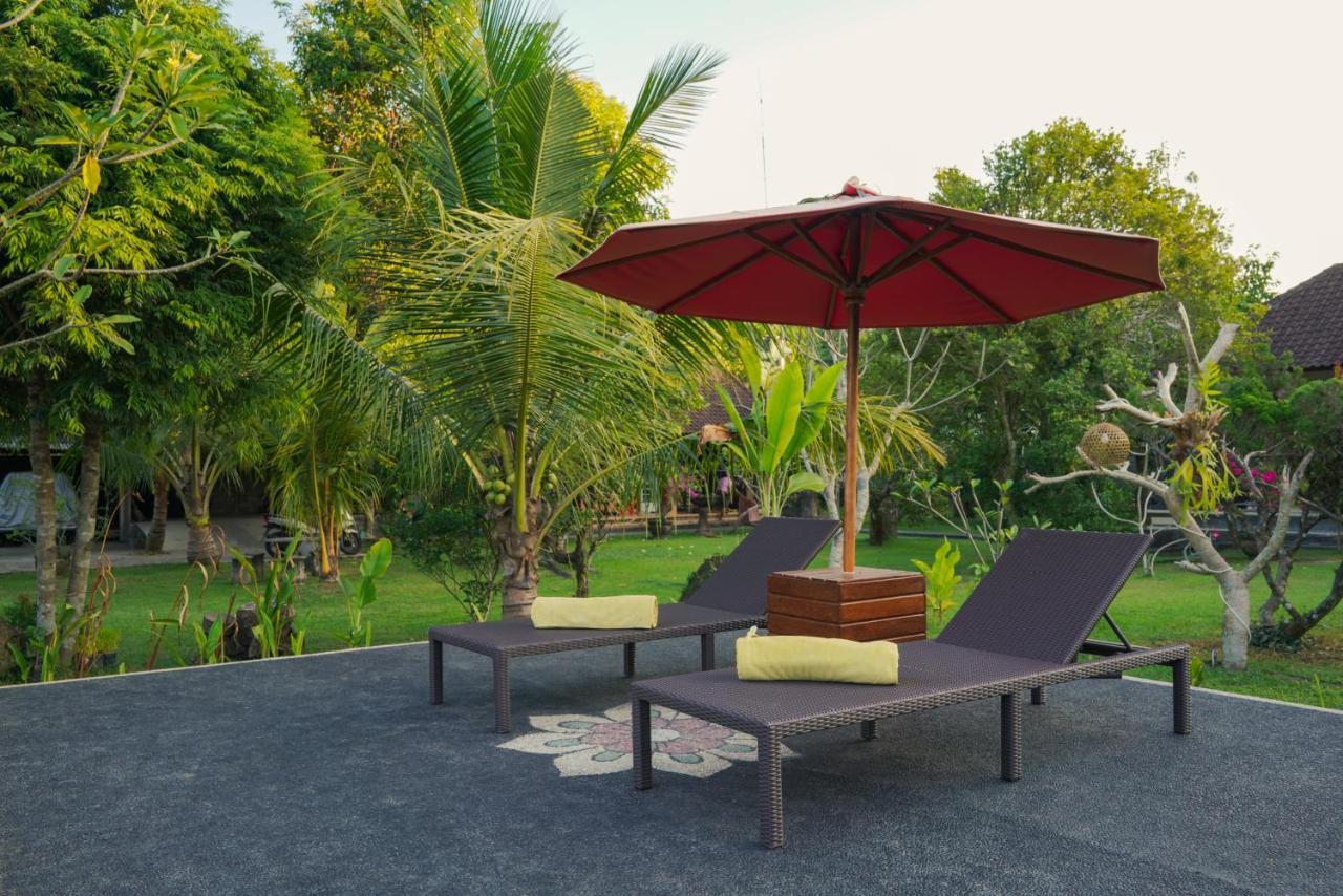 Guest house Dhiari *