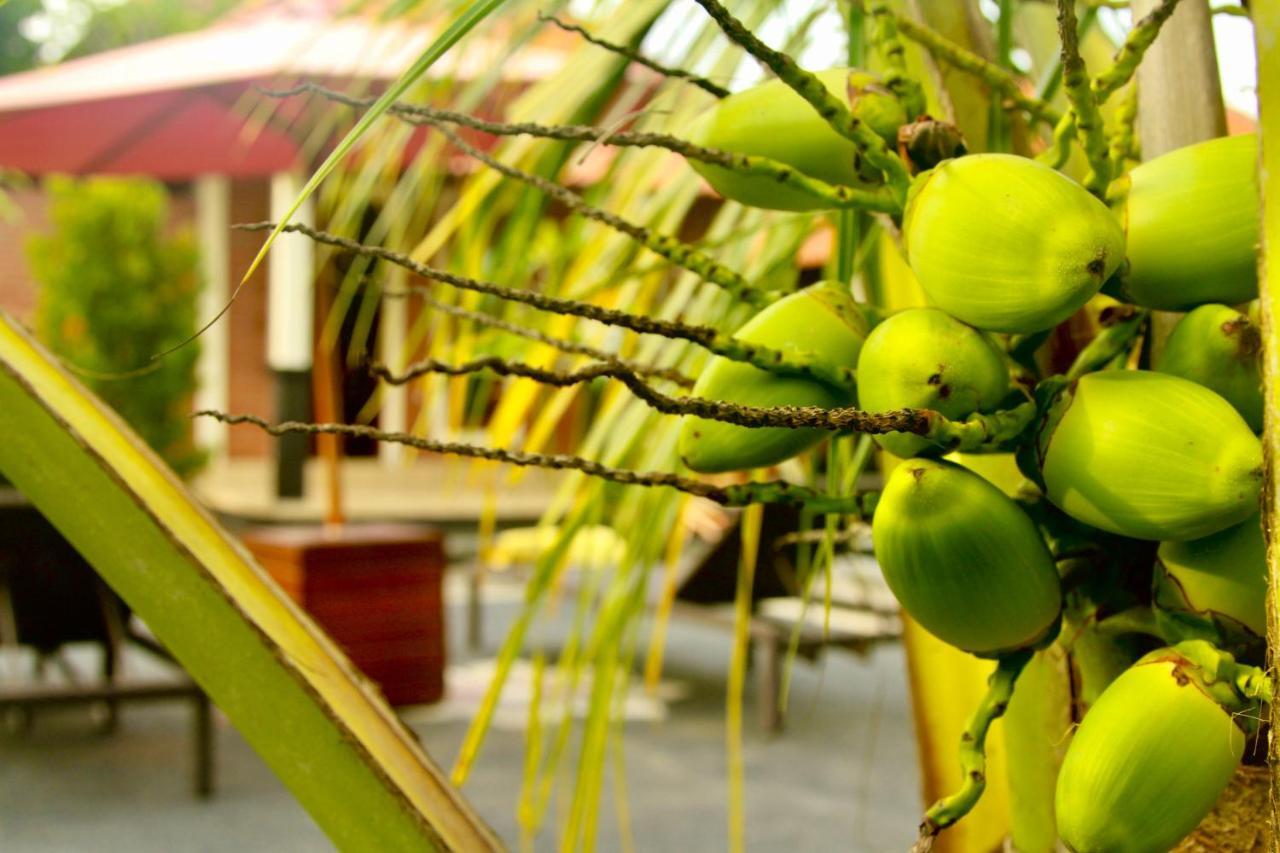 Dhiari Guest house Ubud (Bali)