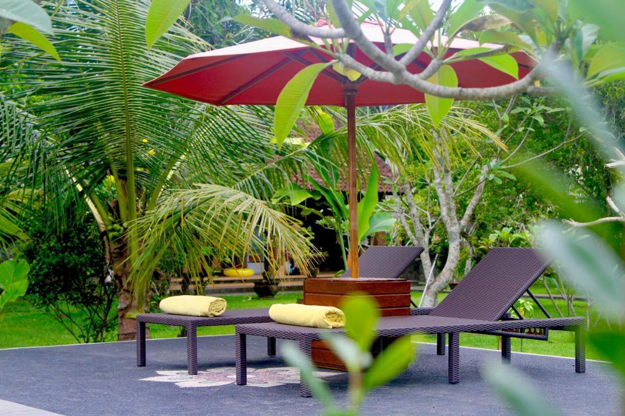 Guest house Dhiari *
