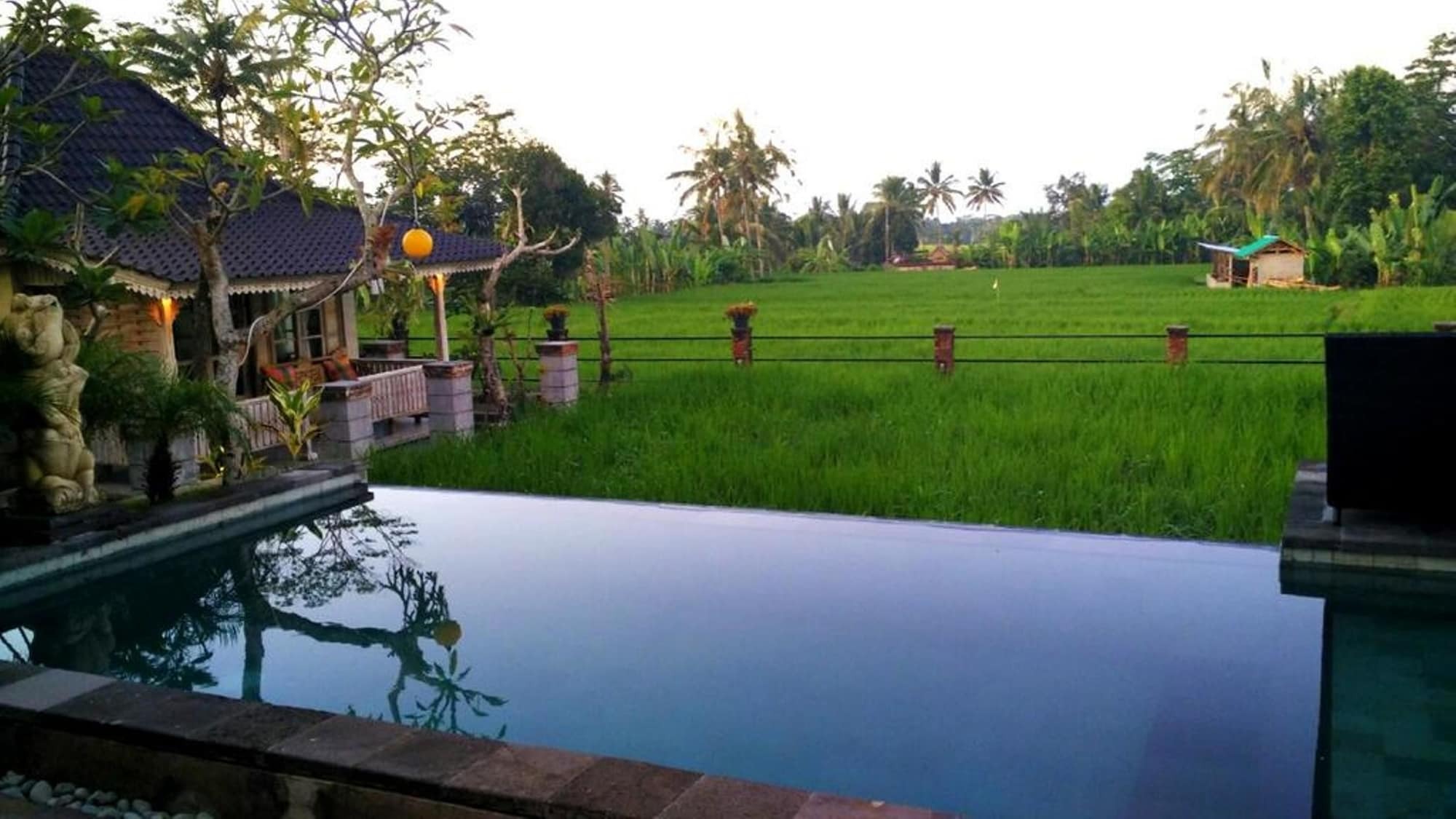 Uma Caming & Gym Guest house Tegallalang (Bali)