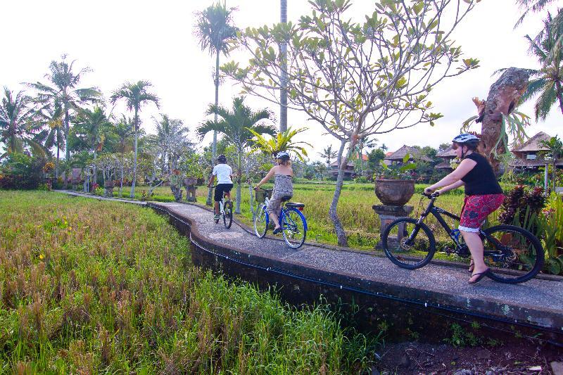 Resort Amatara Agung Raka 4*