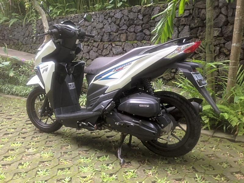 Byasa Ubud (Bali)