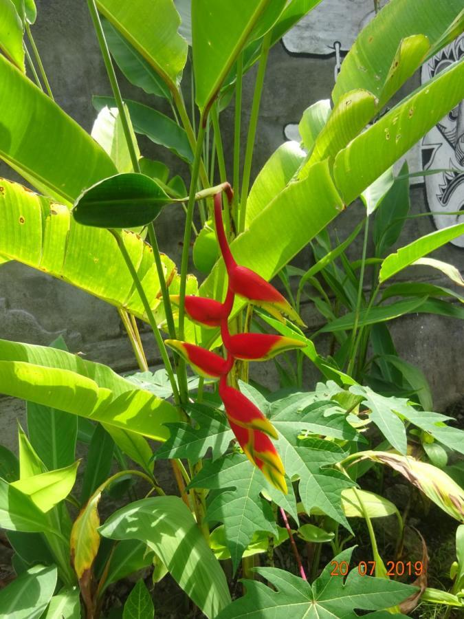 Murnis Bed & Breakfast Lovina (Bali)