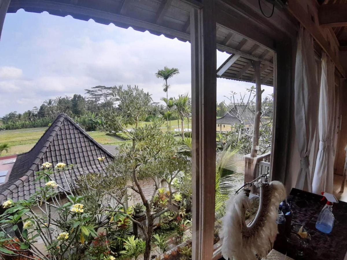 Uma Caming & Gym Guest house