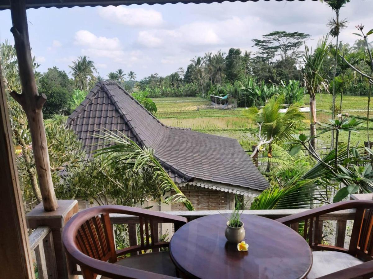 Uma Caming & Gym Guest house