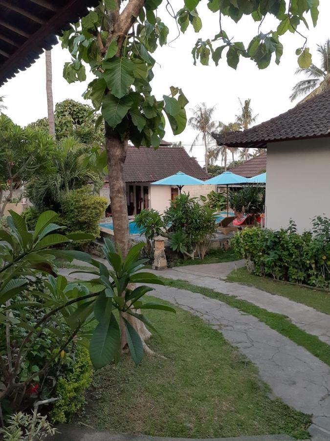 Double One Ii Guest house Amed (Bali)