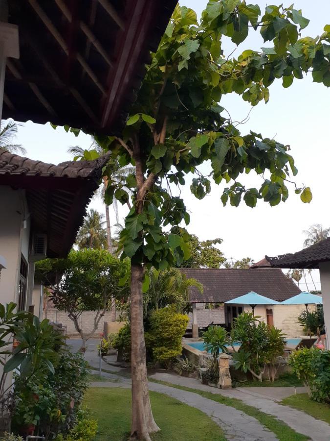 Guest house Double One Ii Amed (Bali)