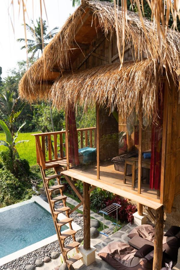 Bali Bamboo Jungle Huts And *