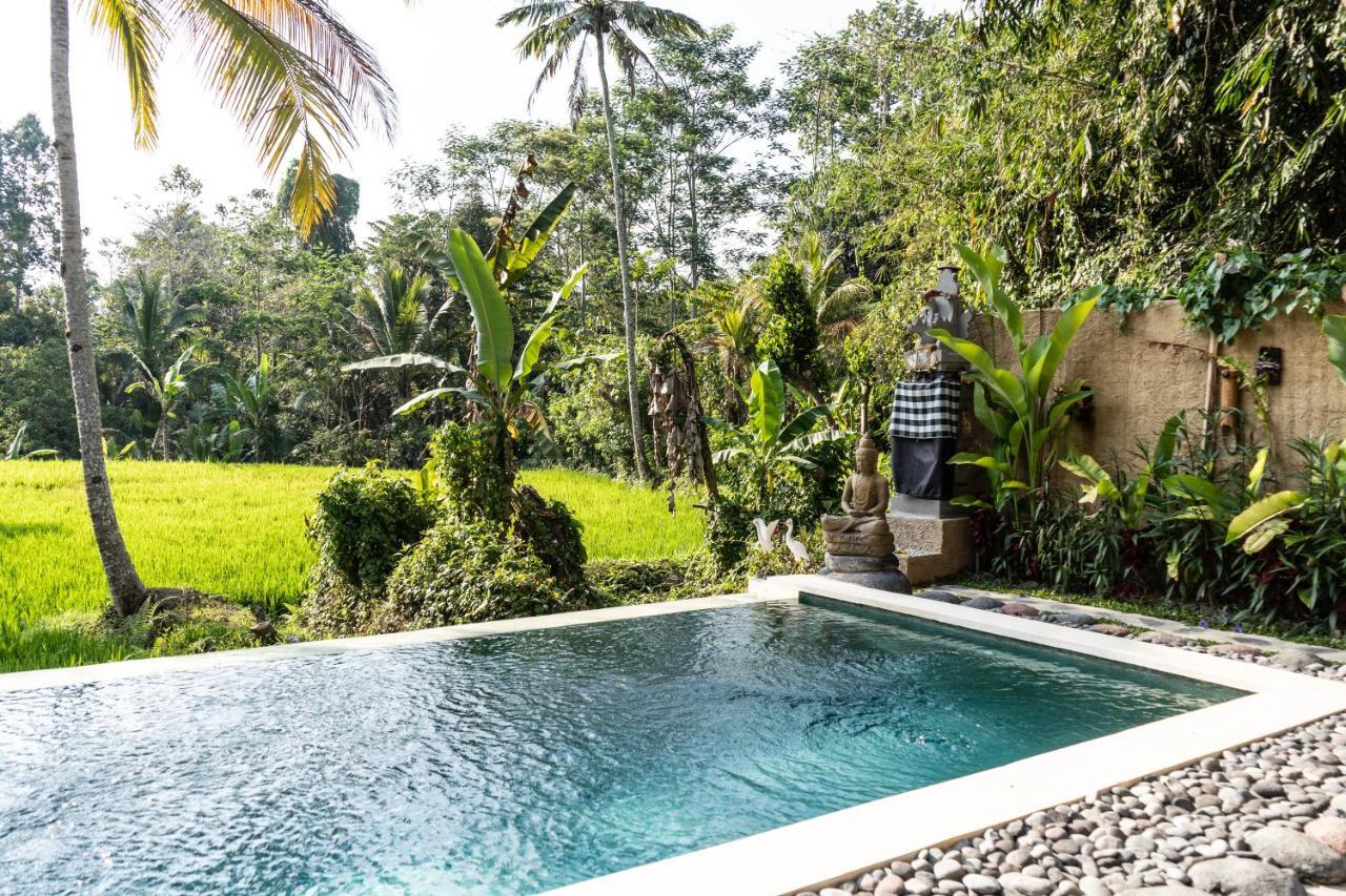 Bali Bamboo Jungle Huts And * Tampaksiring