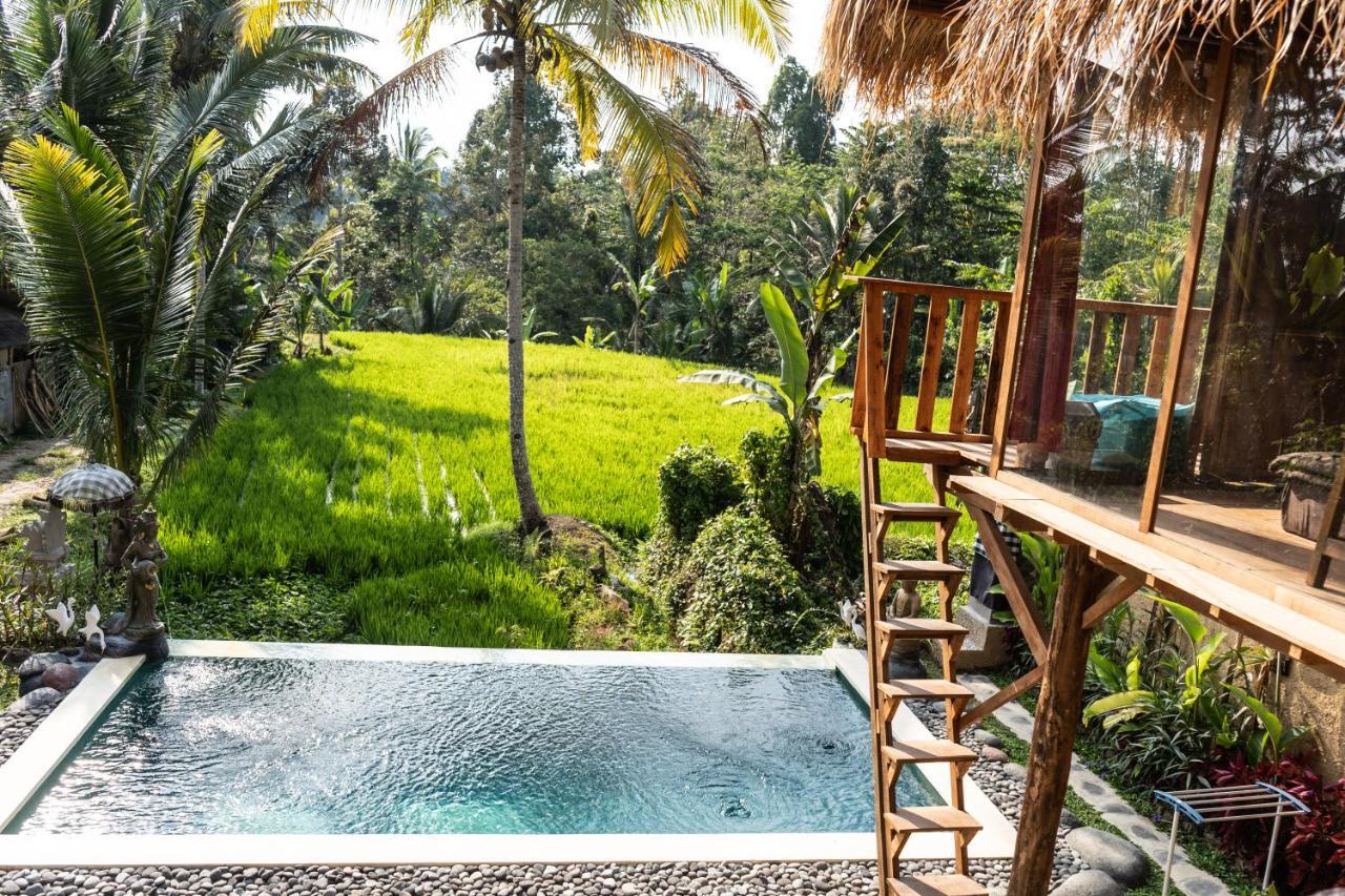 Bali Bamboo Jungle Huts And Lodge Tampaksiring
