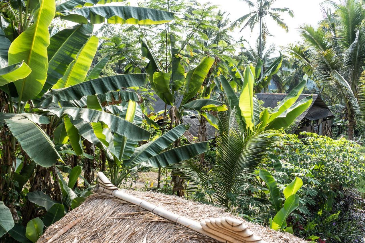 Bali Bamboo Jungle Huts And Tampaksiring