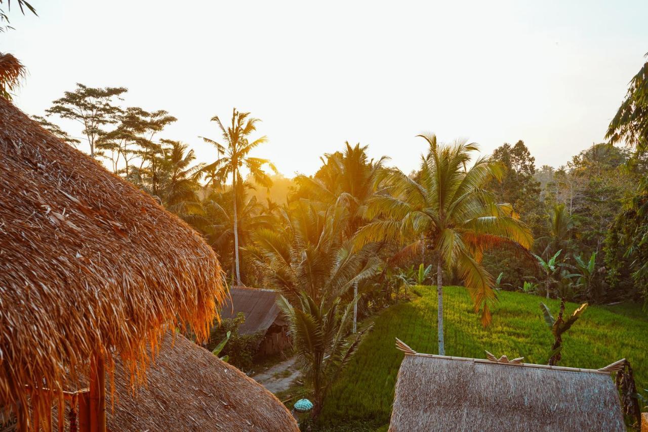 Bali Bamboo Jungle Huts And Lodge *