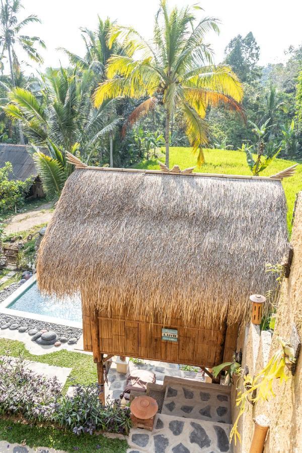Bali Bamboo Jungle Huts And Lodge