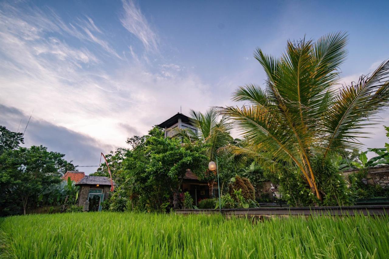 Nini Villa *