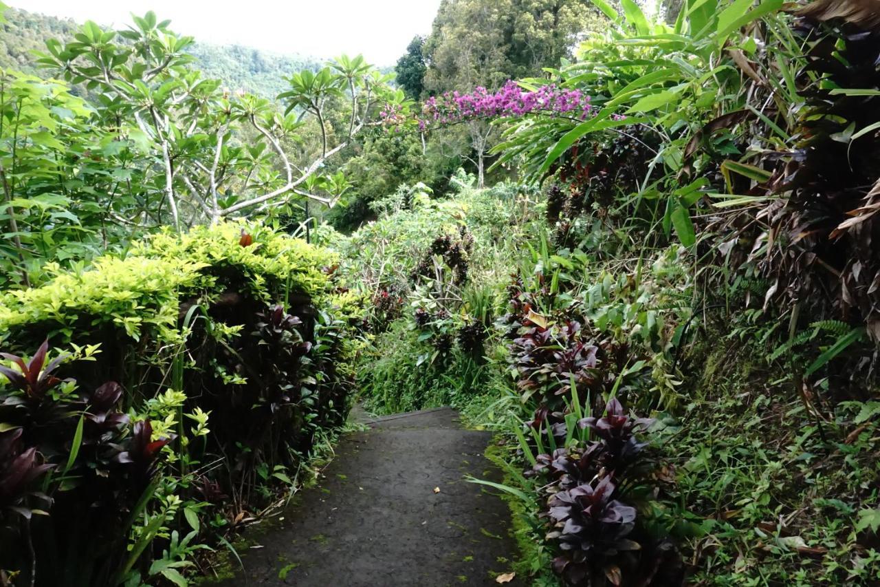 Homestay Aryautama Garden *