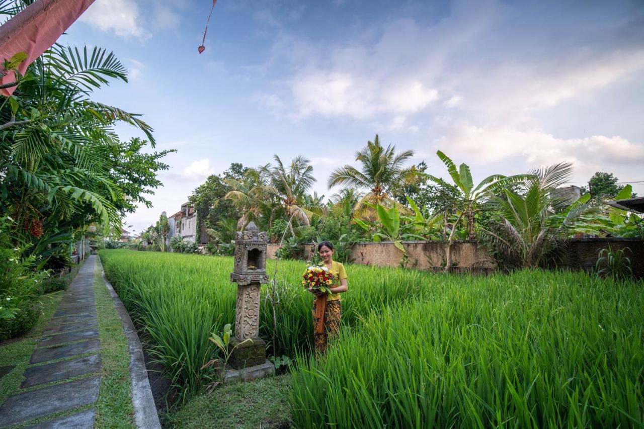 Nini Villa Ubud (Bali)