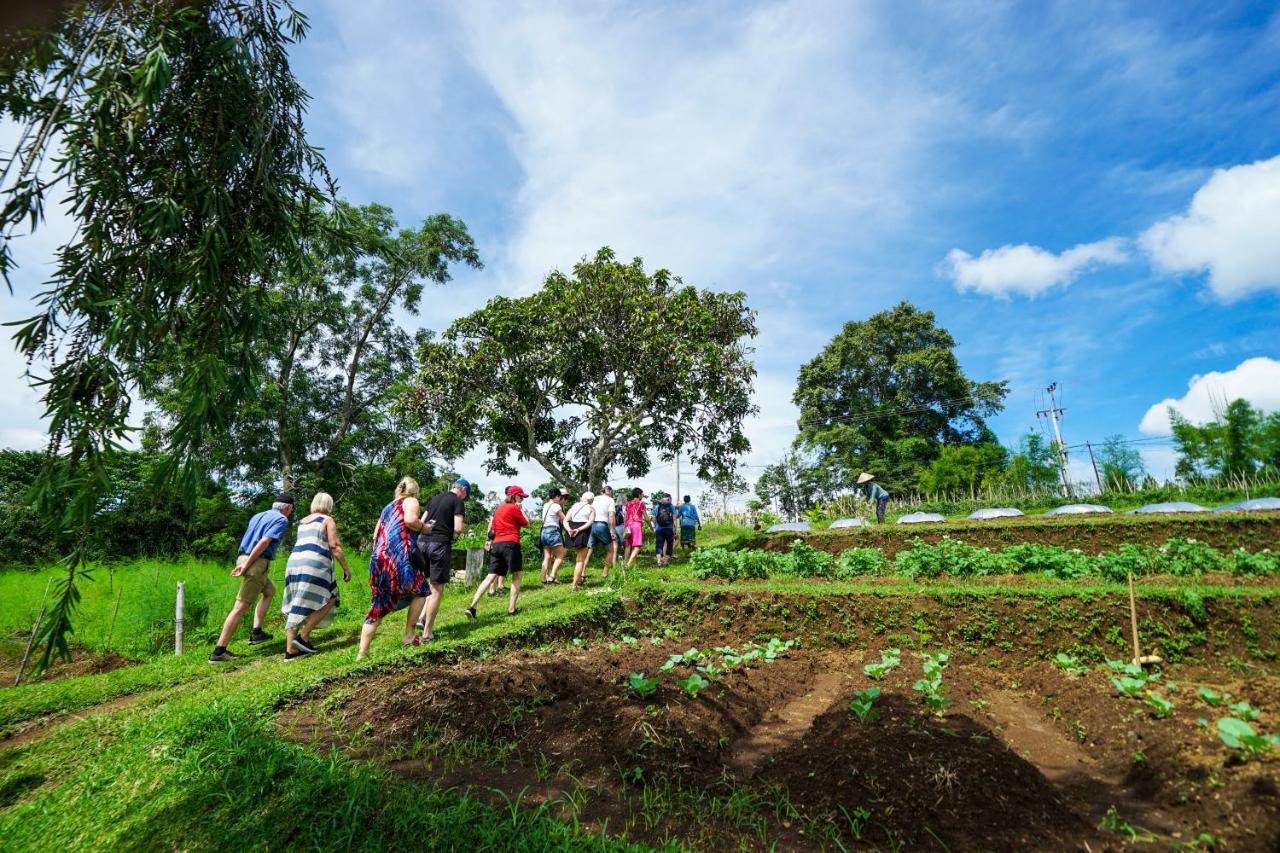 Resor Bagus Agro Pelaga 3*