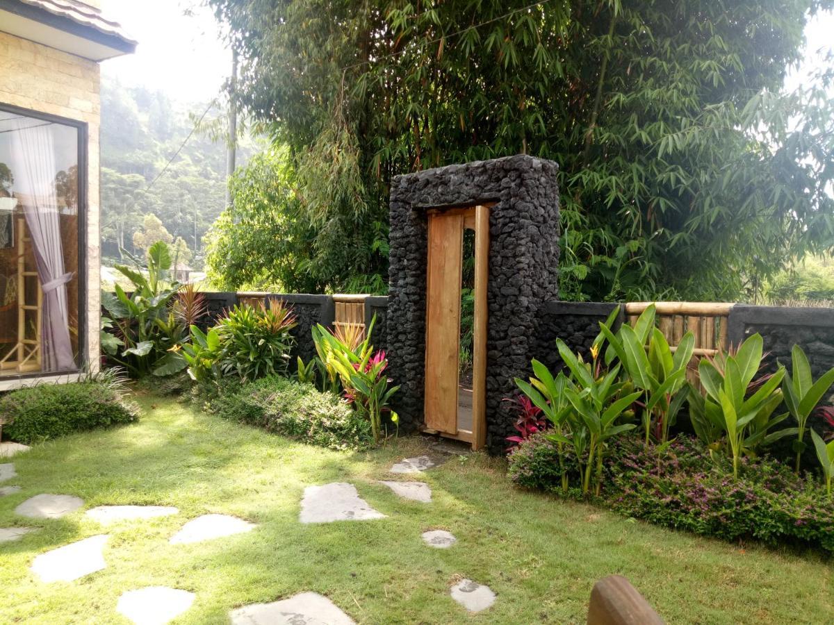 Bunbulan Hill And Kintamani (Bali)
