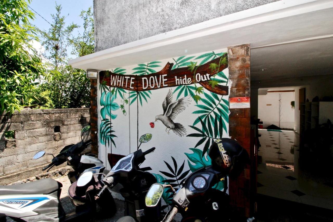 Guest house White Dove 3*