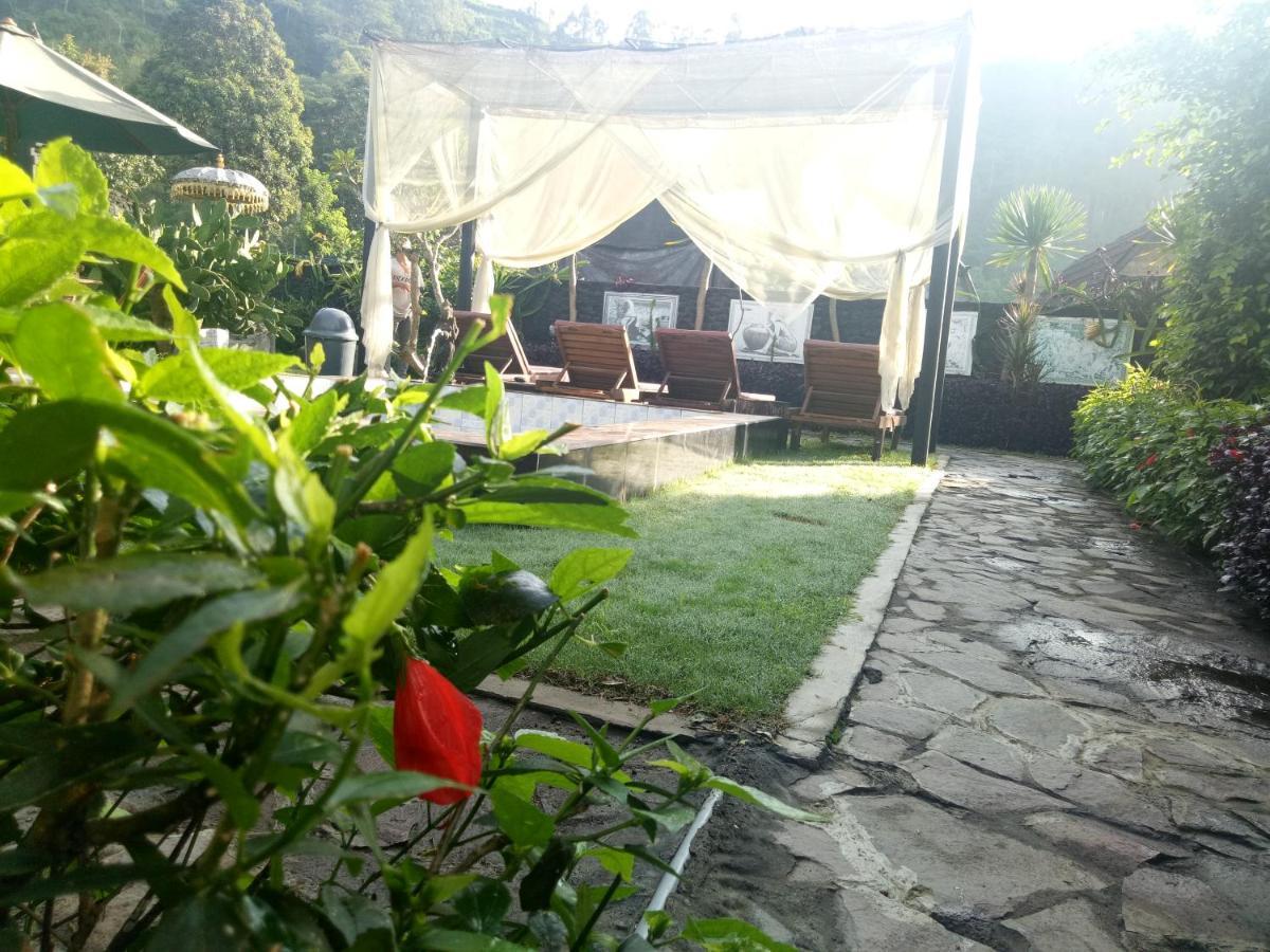 Bunbulan Hill And Hostel *
