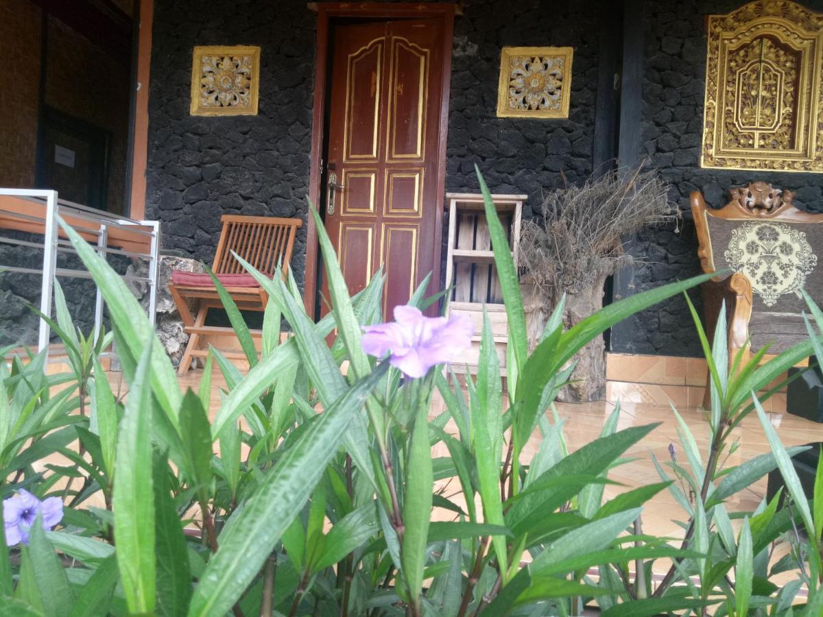 Bunbulan Hill And Hostel Kintamani (Bali)