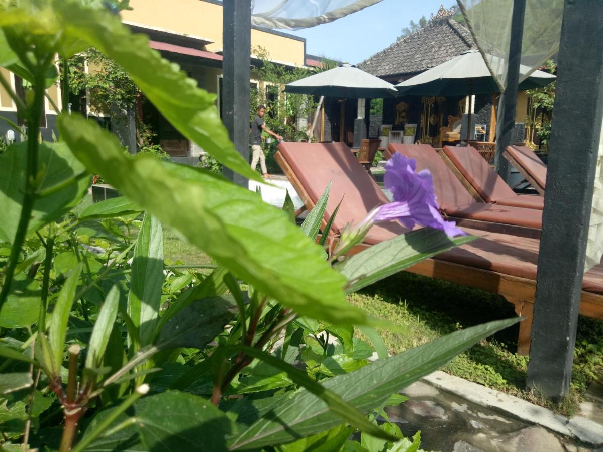 Bunbulan Hill And Hostel Kintamani (Bali)