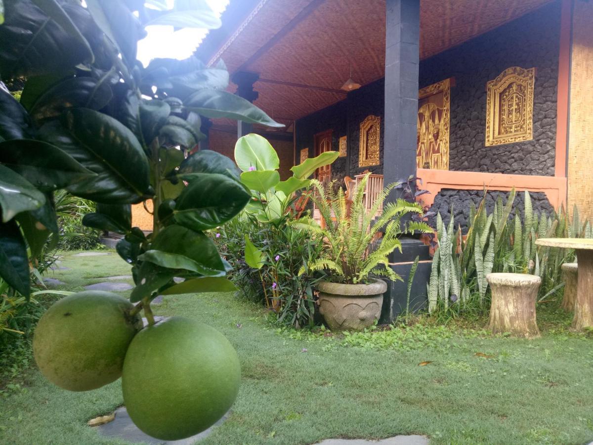 Bunbulan Hill And Hostel
