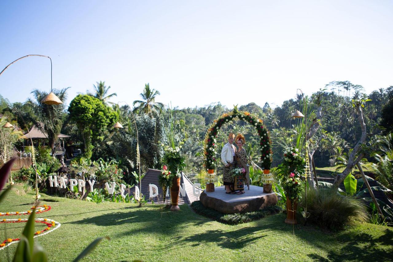 Villa Sebatu *