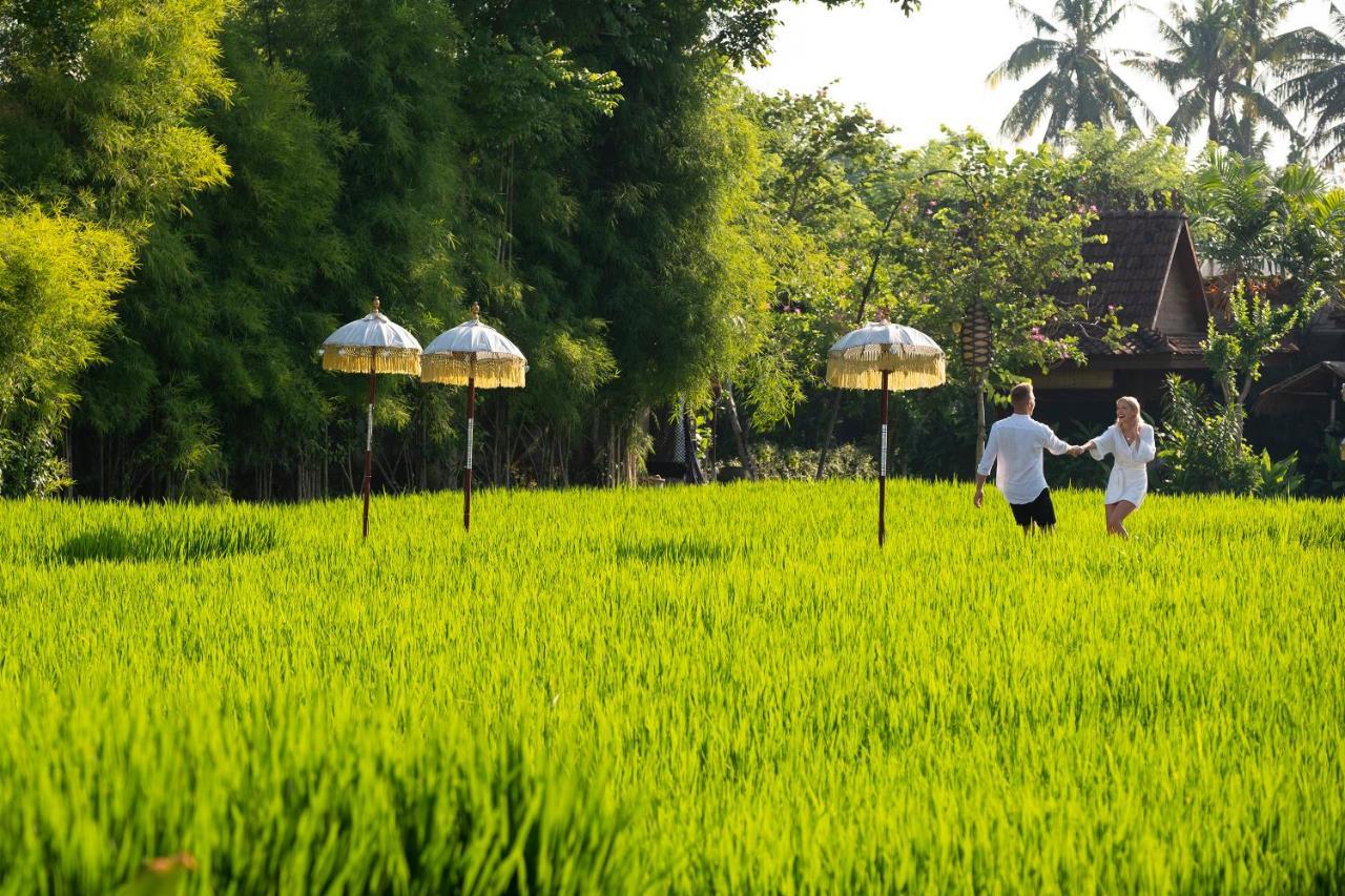 Alaya Ubud (Bali)