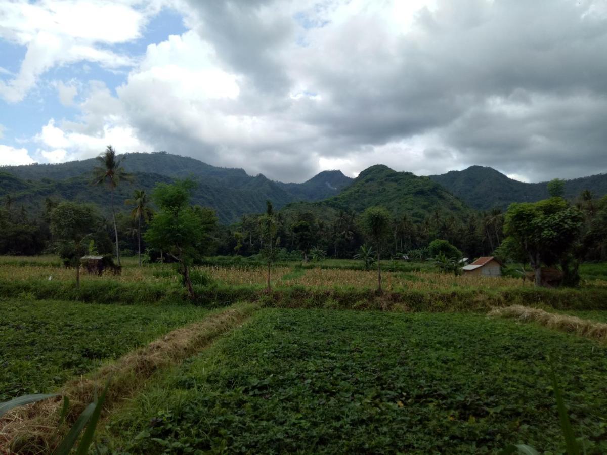 Stop Homestay, Rooftop Restaurant And Bar Wisma tamu Amed (Bali)