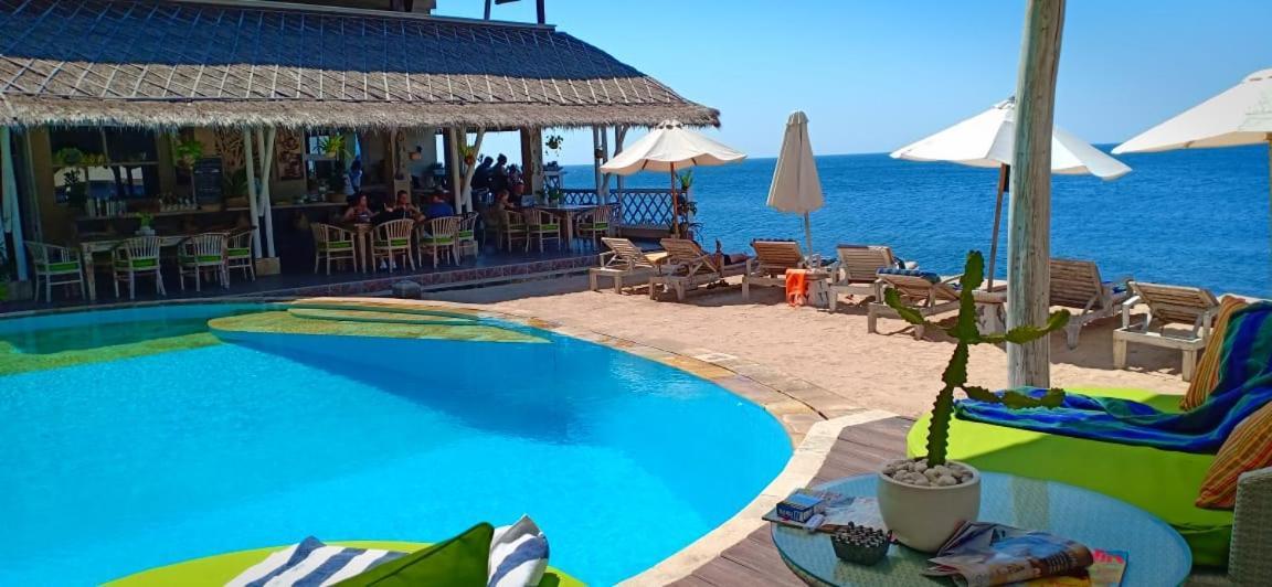 Tauch Terminal & 3* Tulamben (Bali)