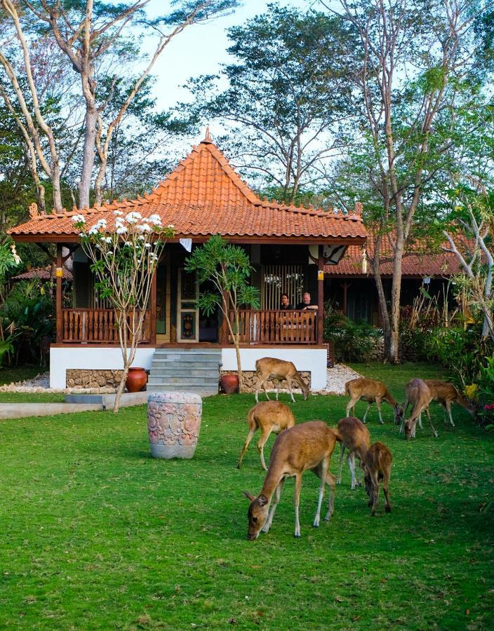 Plataran Menjangan And - Chse Certified 5* Banyuwedang