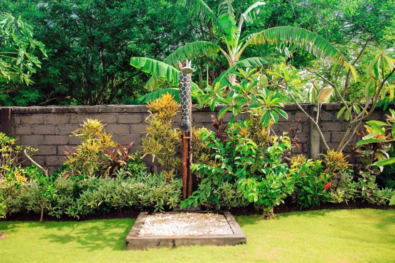 Guest house Jungle